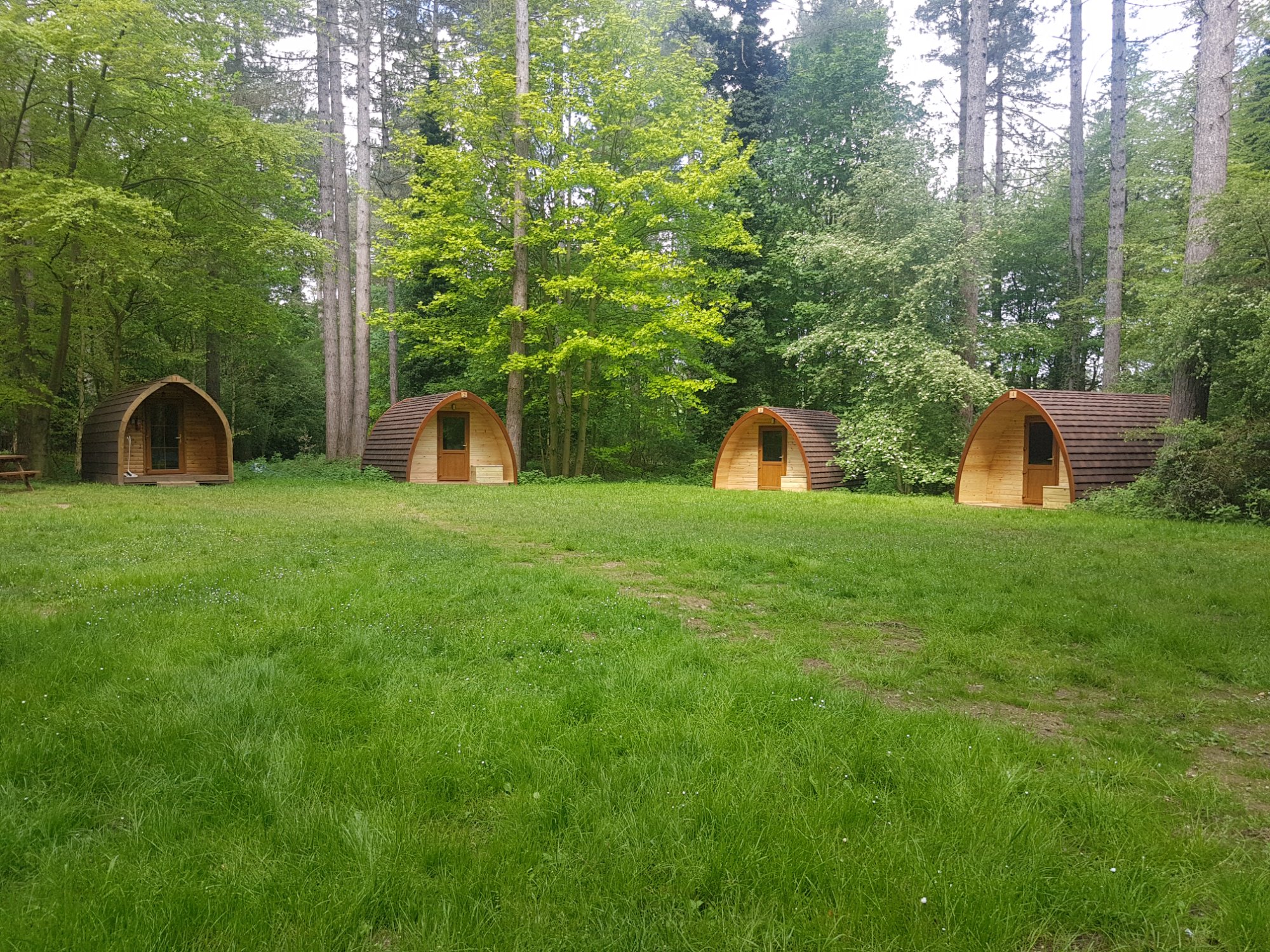 Pine Glade pods