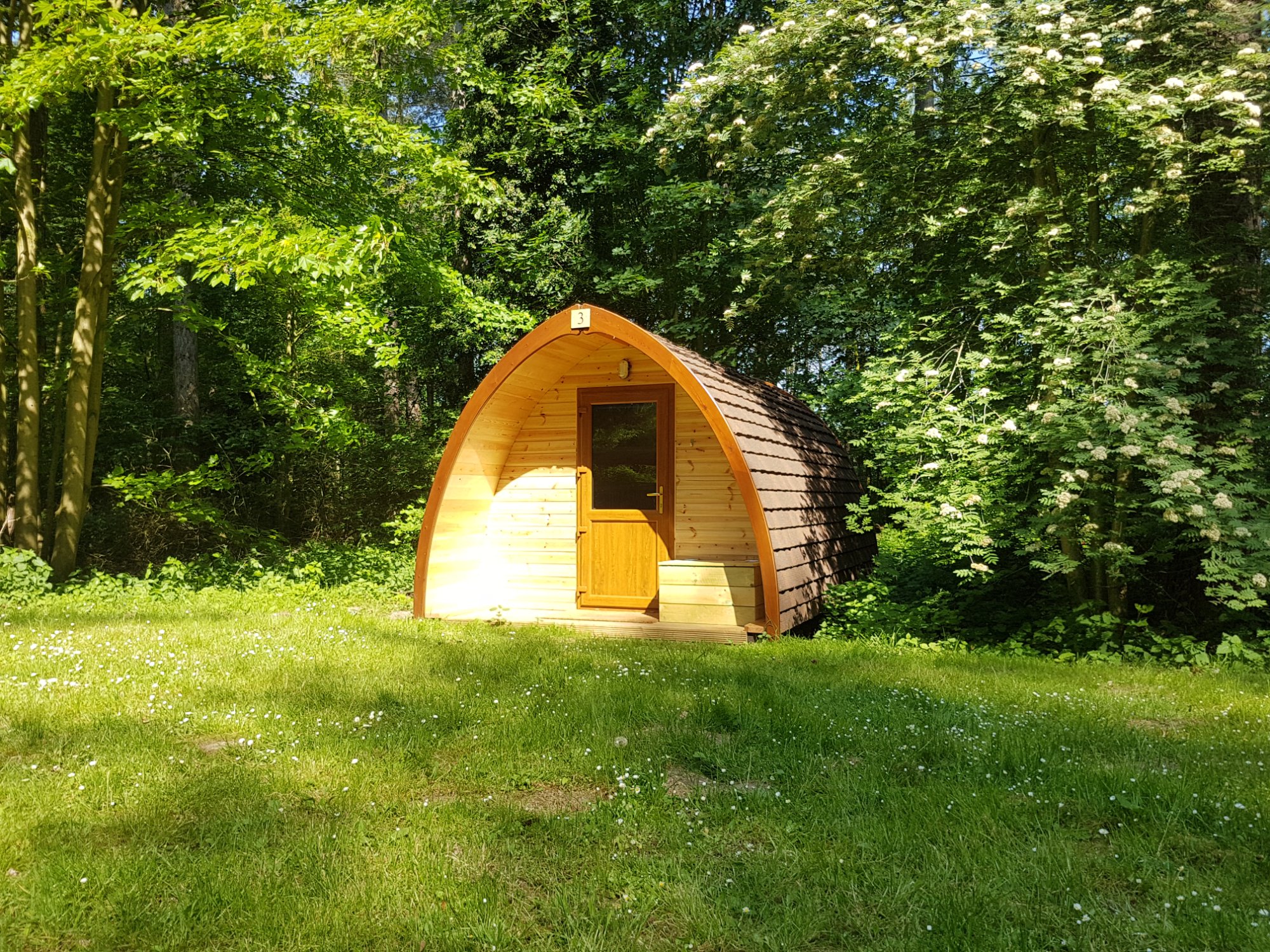 Woodland sleeping pod at Thorpe Woodlands